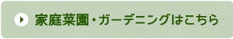 家庭菜園・ガーデニングはこちら